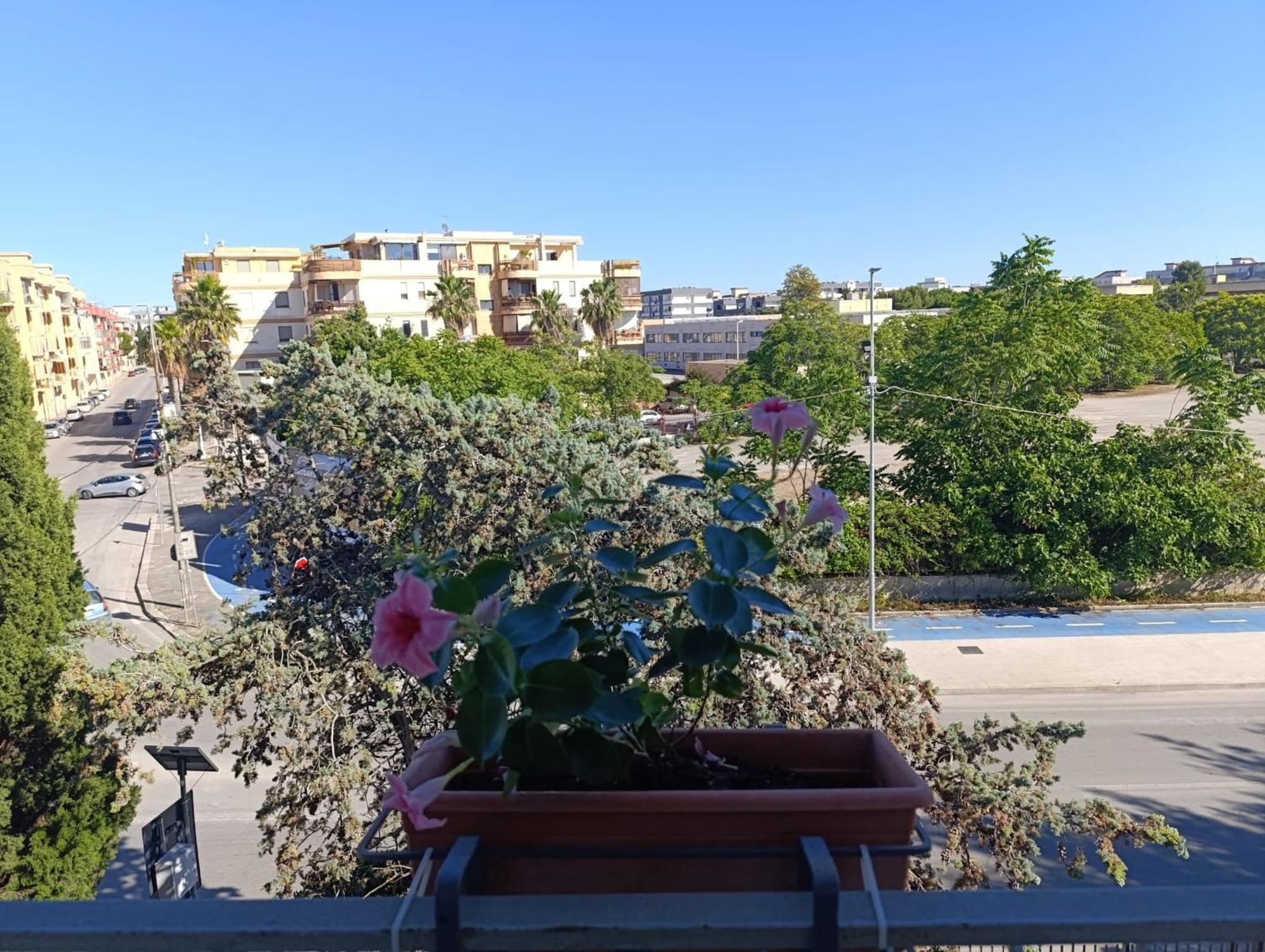 Le Rondini Appartement Trani Buitenkant foto